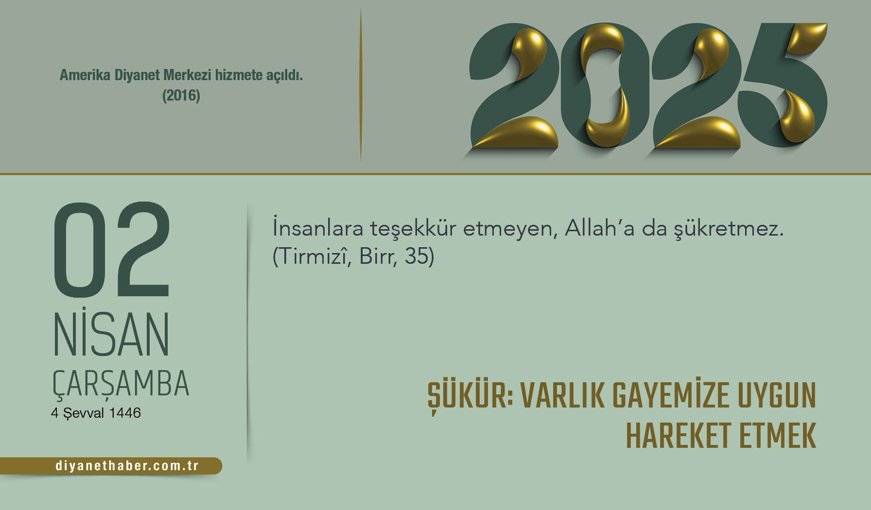 Şükür: Varlık Gayemize Uygun Hareket Etmek