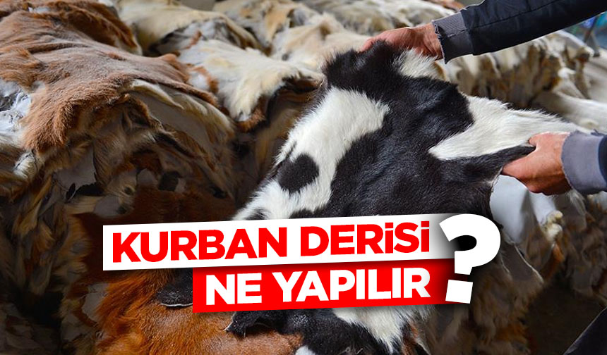 Kurban derisi ne yapılır?