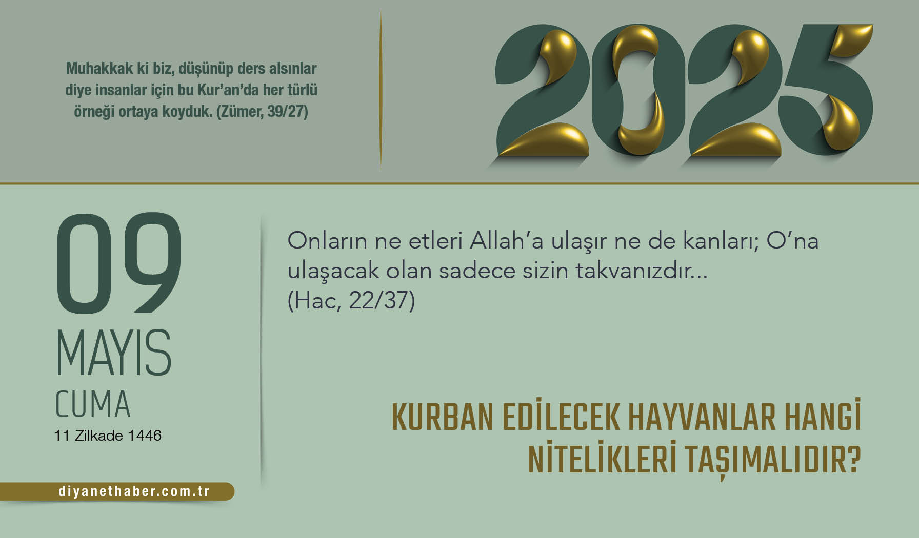 Kurban Edilecek Hayvanlar Hangi Nitelikleri Taşımalıdır?