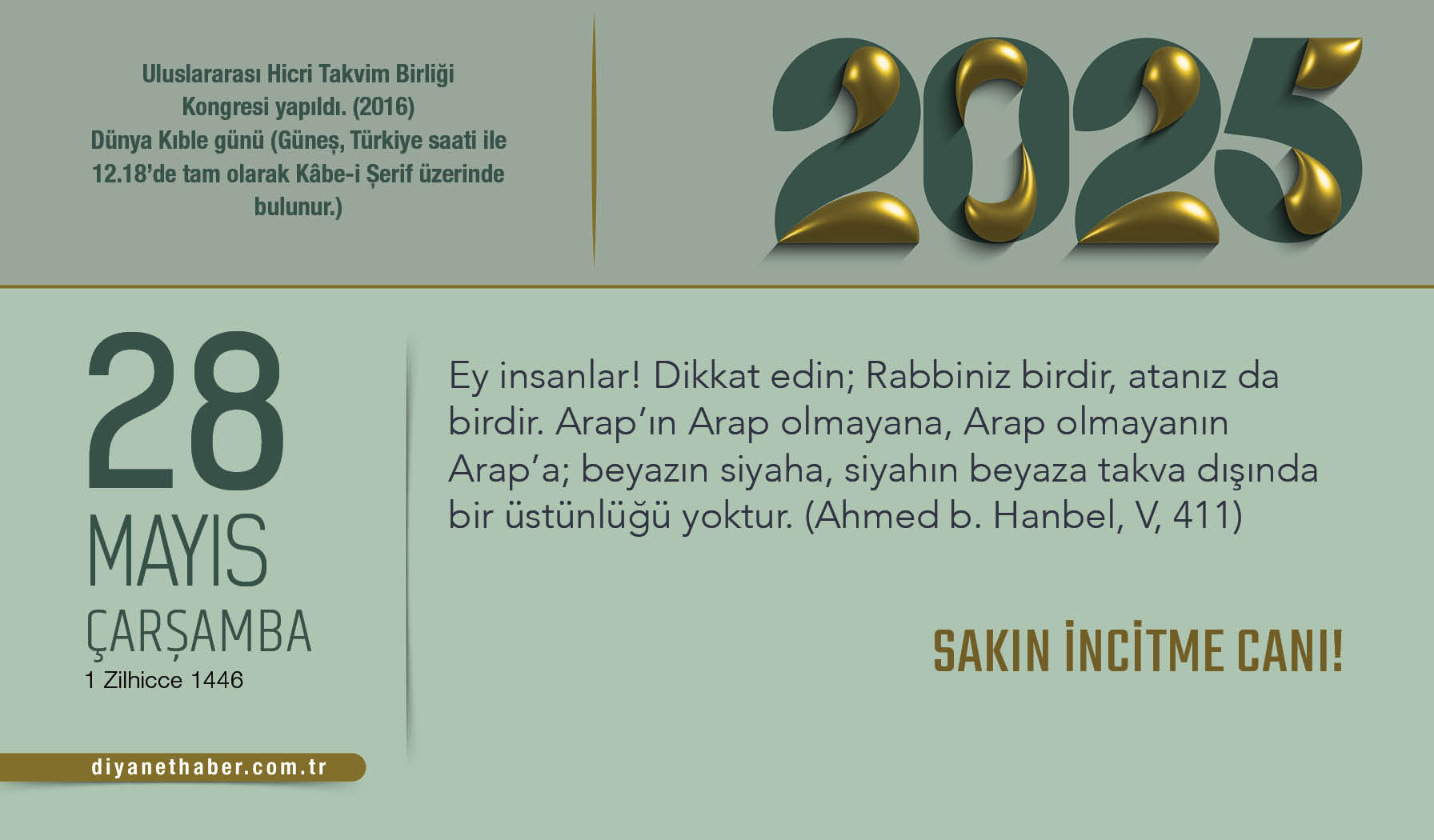 Sakın İncitme Canı! Sakın İncitme Canı!