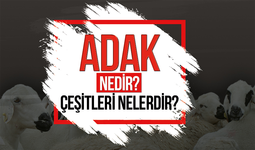 Adak nedir? Adak çeşitleri nelerdir? Adak nedir? Adak çeşitleri nelerdir?