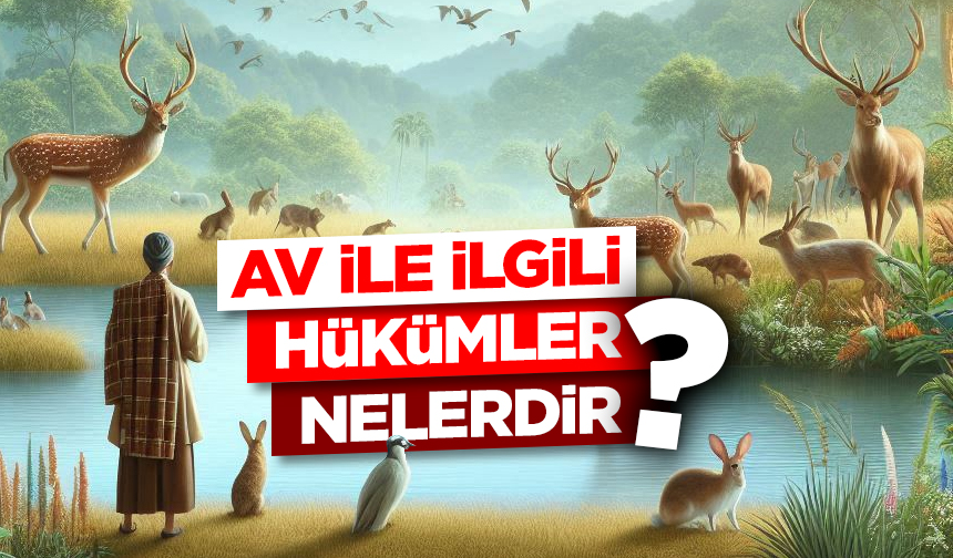 Av ile ilgili hükümler nelerdir?