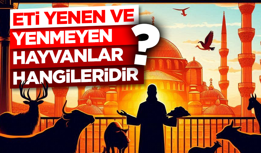Eti yenen ve yenmeyen hayvanlar hangileridir?