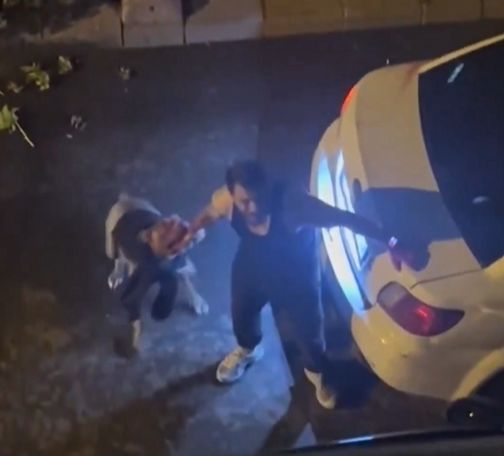 GÜNDEMİstanbul’da gezdirilen pitbull sahibine saldırdı! Vatandaşlar korku dolu anlar yaşadı