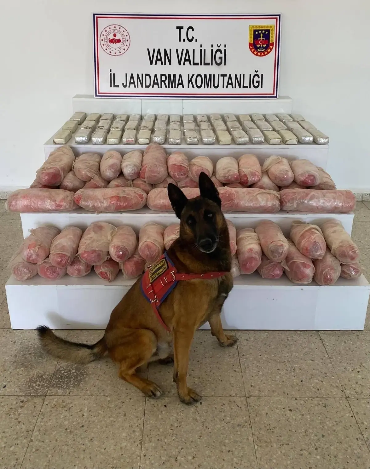 Van’da Jandarma Uyuşturucu Operasyonu: 67 Kilo Malzeme Ele Geçirildi