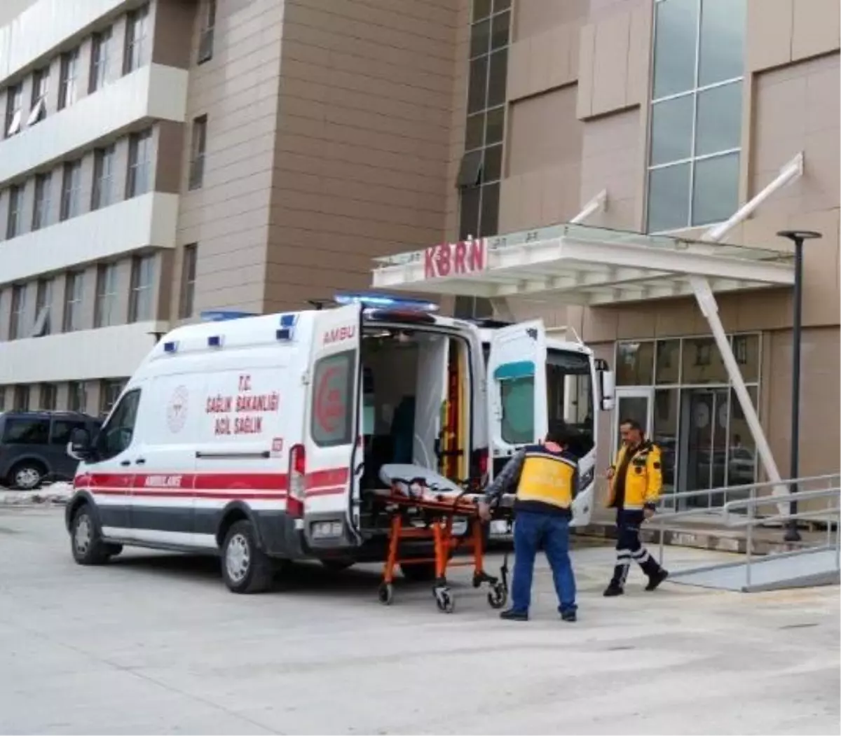 Erzincan’da Üzüm Bağında Ayı Saldırısı Gerçekleşti